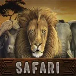 Safari
